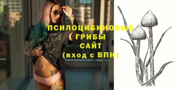 бошки Нягань