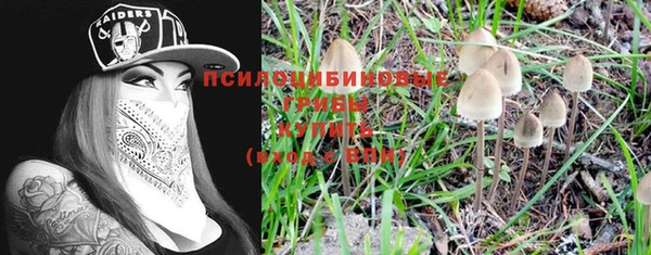 бошки Нягань