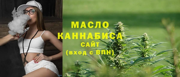 apvp Няндома