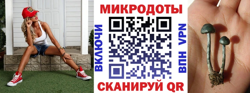 Галлюциногенные грибы Magic Shrooms  наркота  Катайск 
