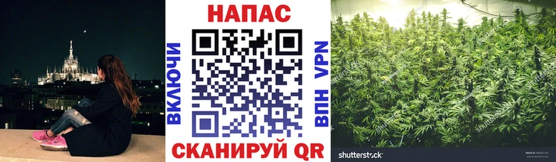 MEGA сайт  Катайск  Канабис марихуана  магазин продажи  
